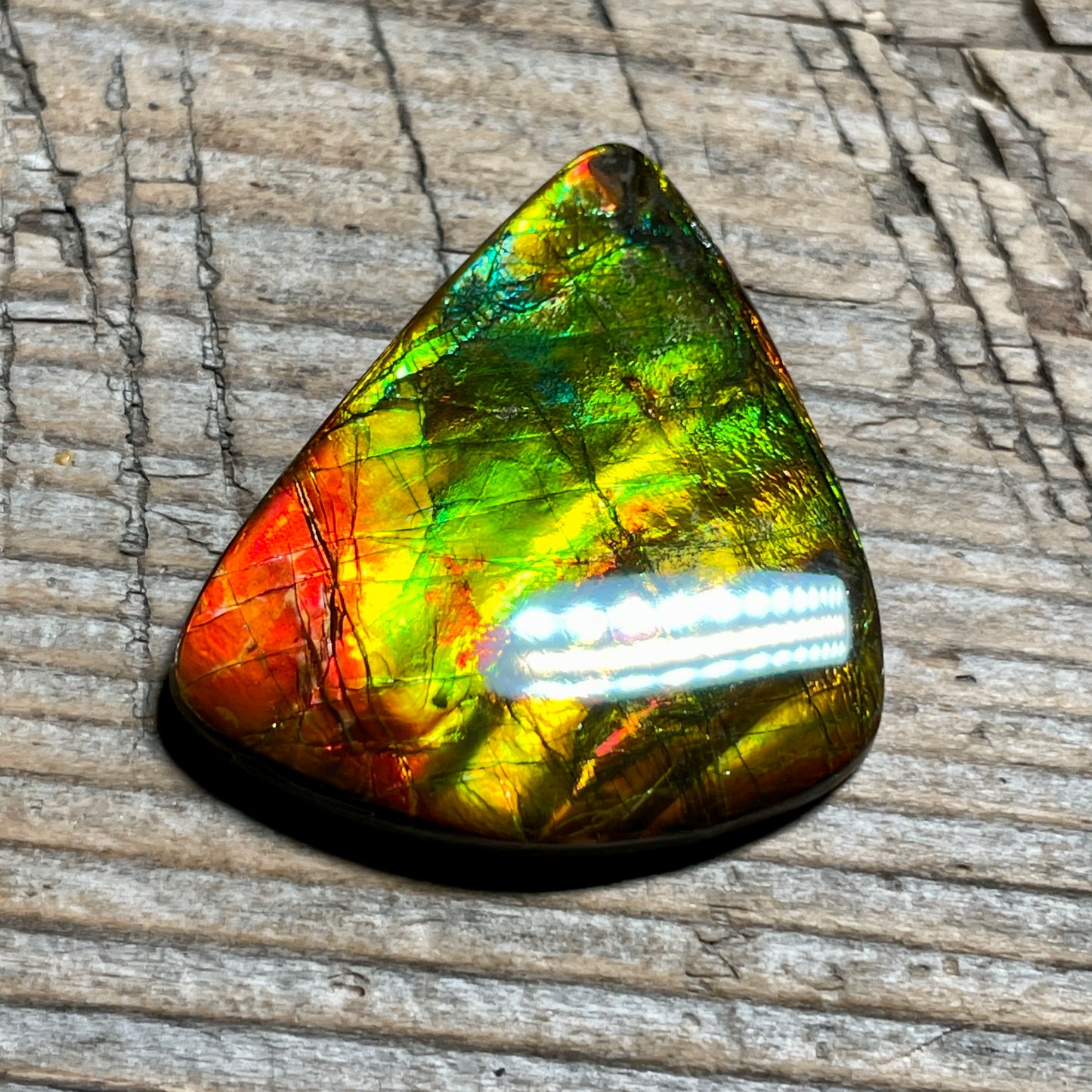 Multicoloured Ammolite Cabochon, Genuine Canadian Ammonite Fossil Jewelry