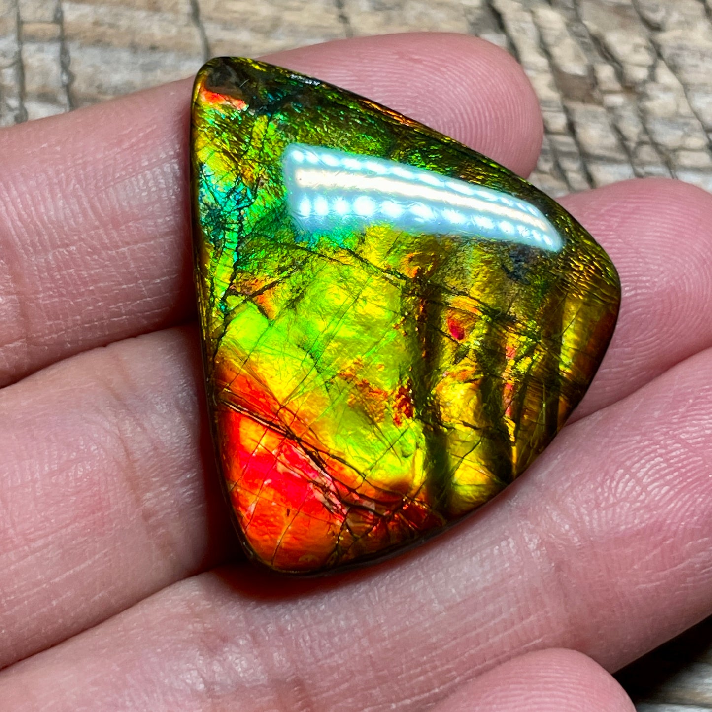 Multicoloured Ammolite Cabochon, Genuine Canadian Ammonite Fossil Jewelry