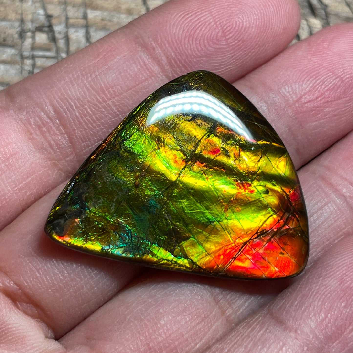 Multicoloured Ammolite Cabochon, Genuine Canadian Ammonite Fossil Jewelry