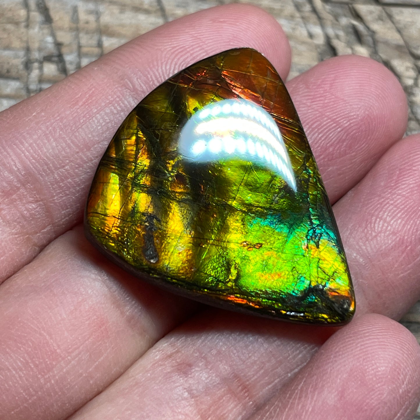 Multicoloured Ammolite Cabochon, Genuine Canadian Ammonite Fossil Jewelry