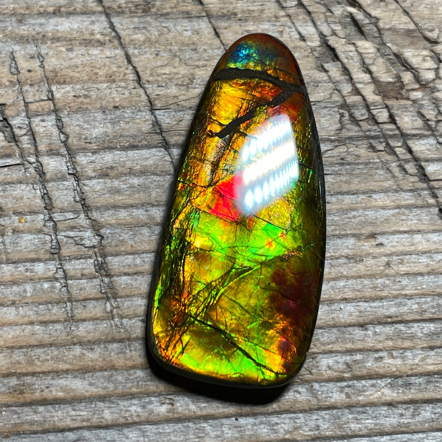 Multicoloured Ammolite Cabochon, Genuine Canadian Ammonite Fossil Jewelry