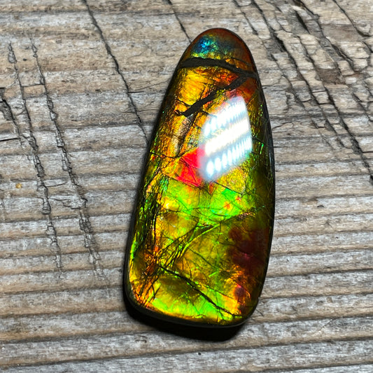 Multicoloured Ammolite Cabochon, Genuine Canadian Ammonite Fossil Jewelry