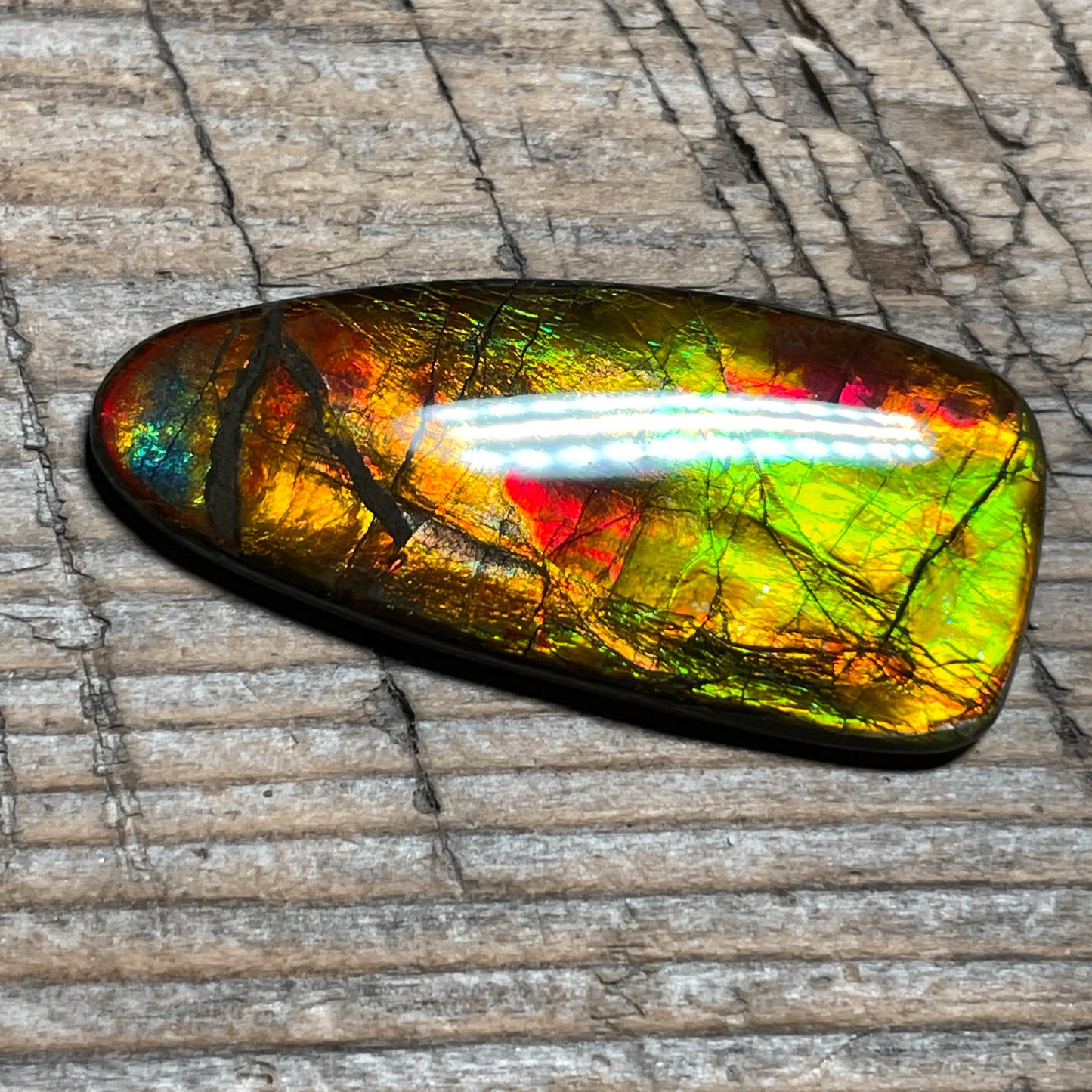 Multicoloured Ammolite Cabochon, Genuine Canadian Ammonite Fossil Jewelry