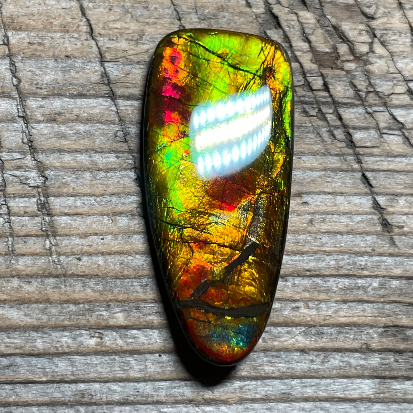 Multicoloured Ammolite Cabochon, Genuine Canadian Ammonite Fossil Jewelry