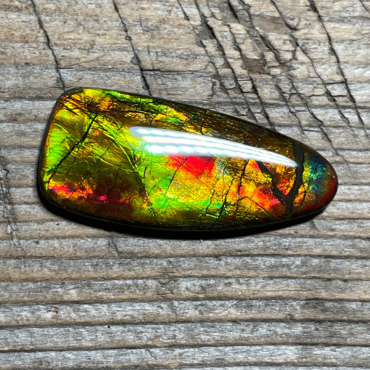 Multicoloured Ammolite Cabochon, Genuine Canadian Ammonite Fossil Jewelry