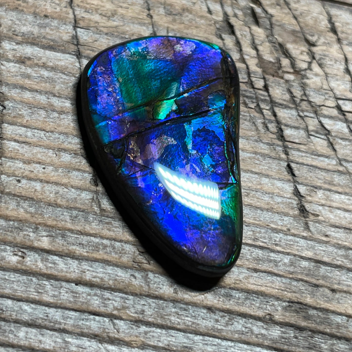 Blue Green Purple Ammolite Gemstone Cabochon Freeform Canadian Ammonite Fossil