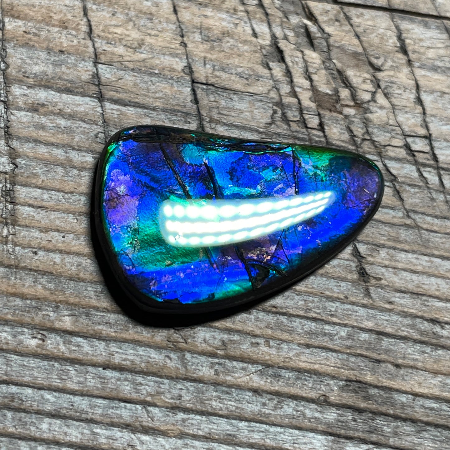 Blue Green Purple Ammolite Gemstone Cabochon Freeform Canadian Ammonite Fossil