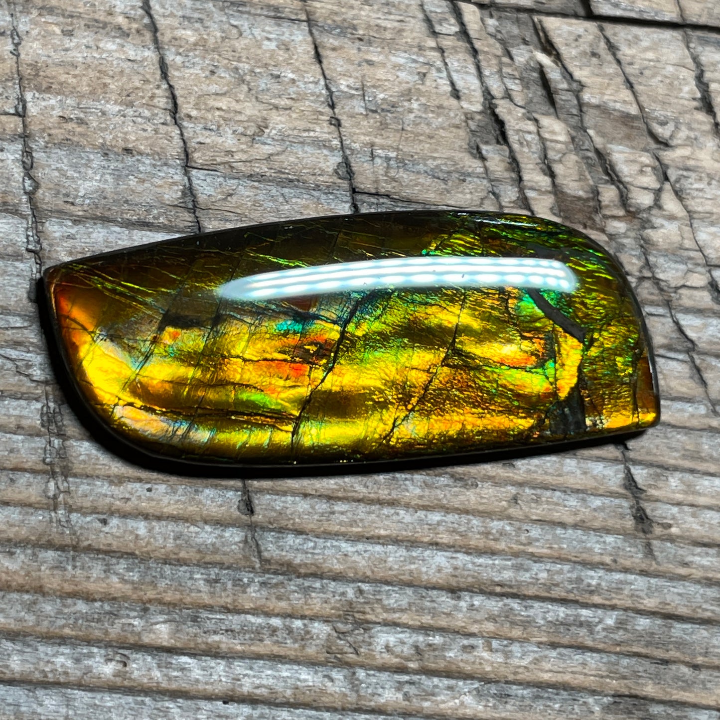 Multicoloured Ammolite Cabochon, Genuine Canadian Ammonite