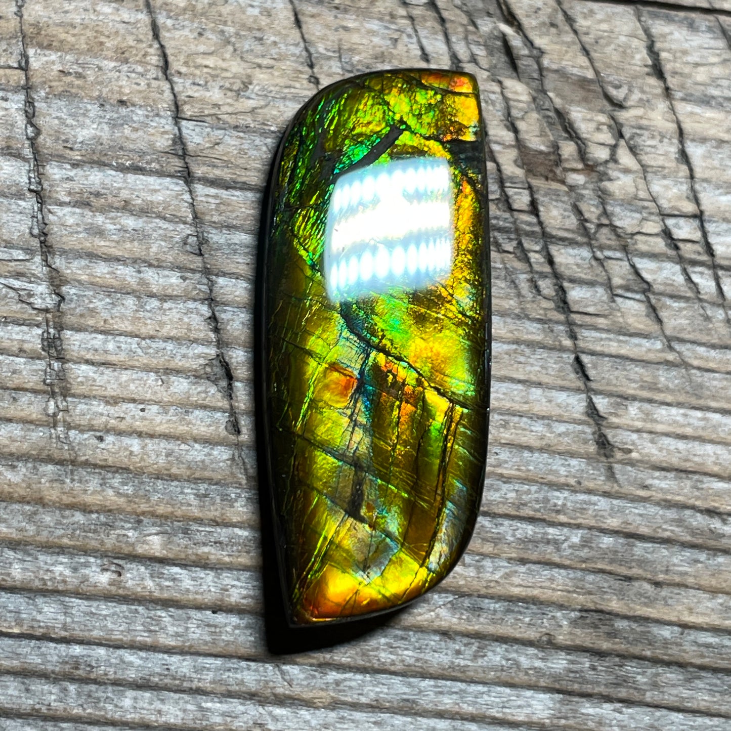 Multicoloured Ammolite Cabochon, Genuine Canadian Ammonite