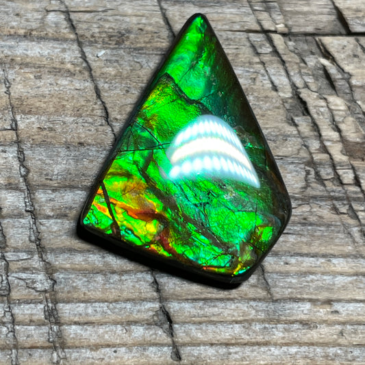 Ammolite Natural Freeform gemstone Bright Colours, Genuine Canadian Organic Gemstone