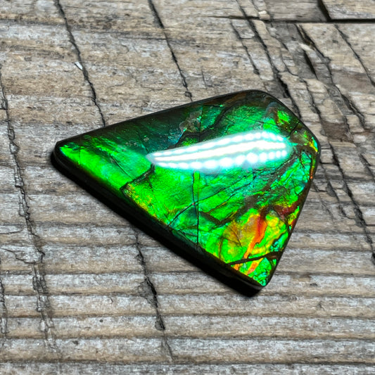 Ammolite Natural Freeform gemstone Bright Colours, Genuine Canadian Organic Gemstone