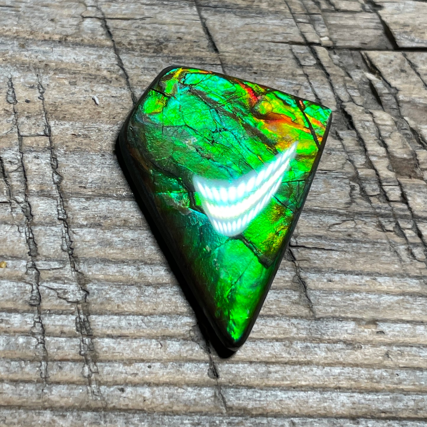 Ammolite Natural Freeform gemstone Bright Colours, Genuine Canadian Organic Gemstone