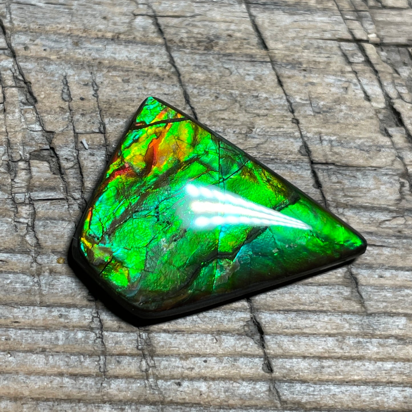 Ammolite Natural Freeform gemstone Bright Colours, Genuine Canadian Organic Gemstone