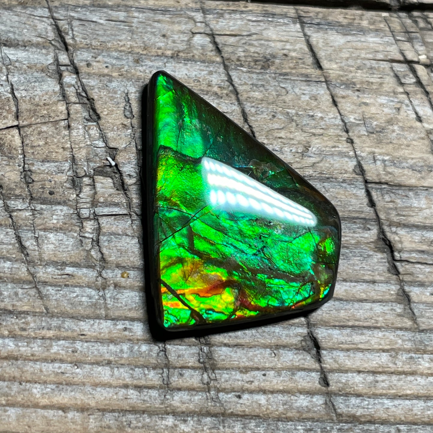 Ammolite Natural Freeform gemstone Bright Colours, Genuine Canadian Organic Gemstone