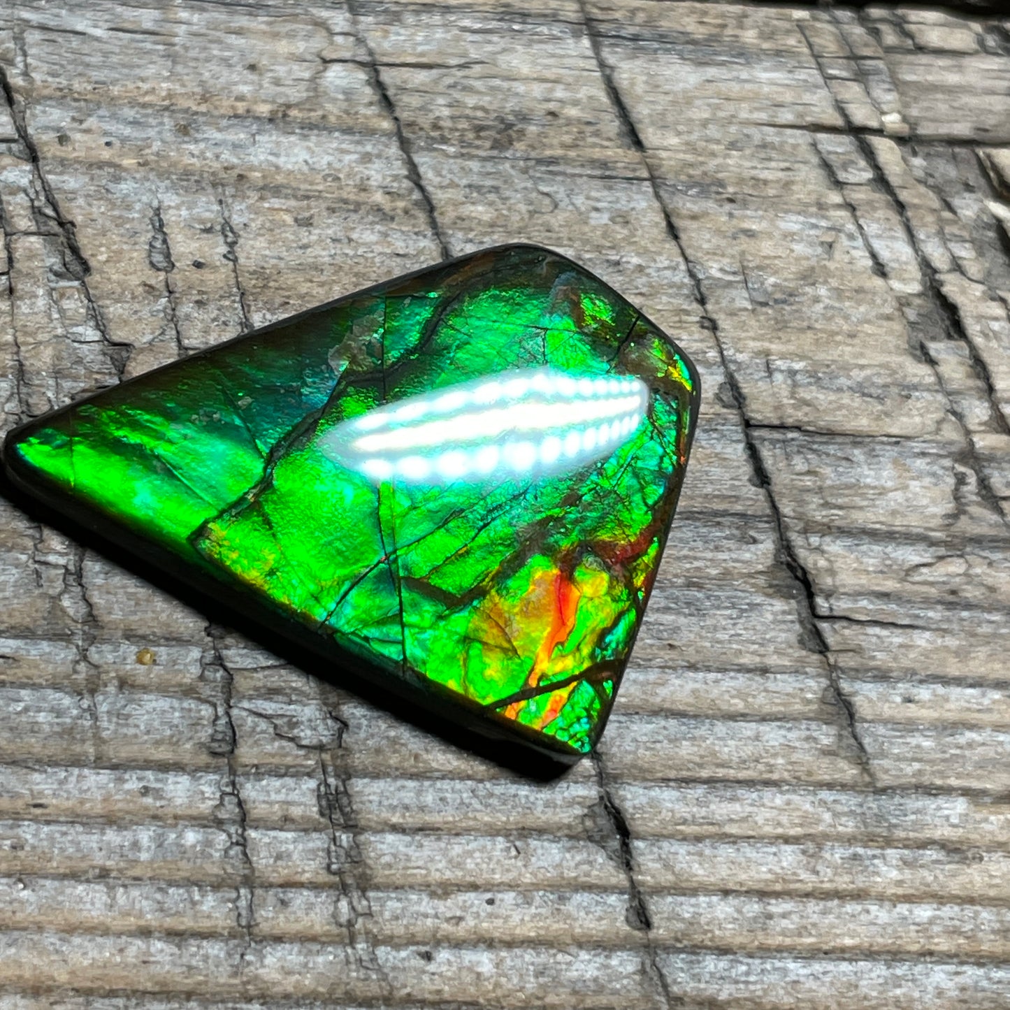 Ammolite Natural Freeform gemstone Bright Colours, Genuine Canadian Organic Gemstone