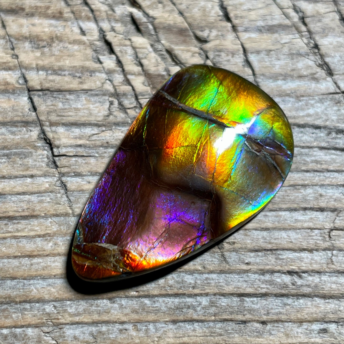 Collector's Special! Rare Pink Polished Ammolite Freeform Cabochon, Genuine Alberta Ammonite Gemstone