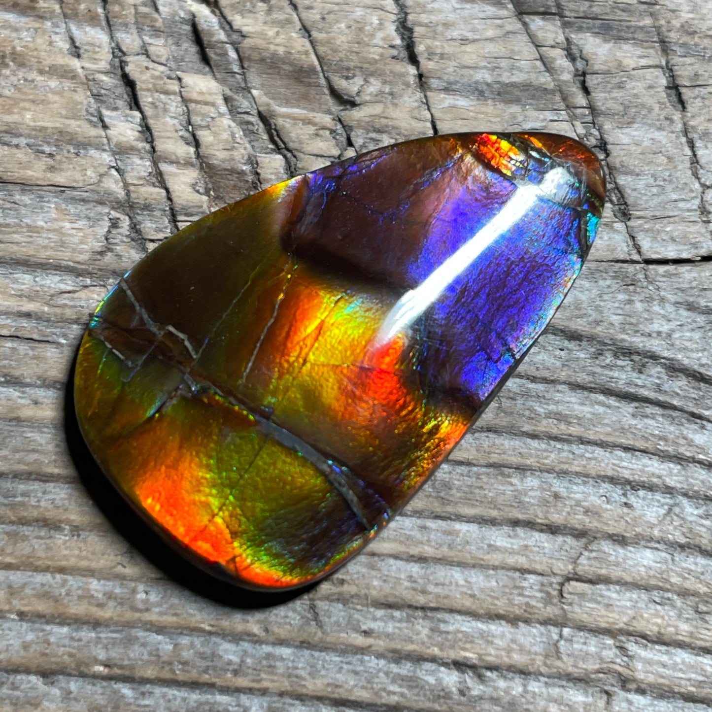 Collector's Special! Rare Pink Polished Ammolite Freeform Cabochon, Genuine Alberta Ammonite Gemstone