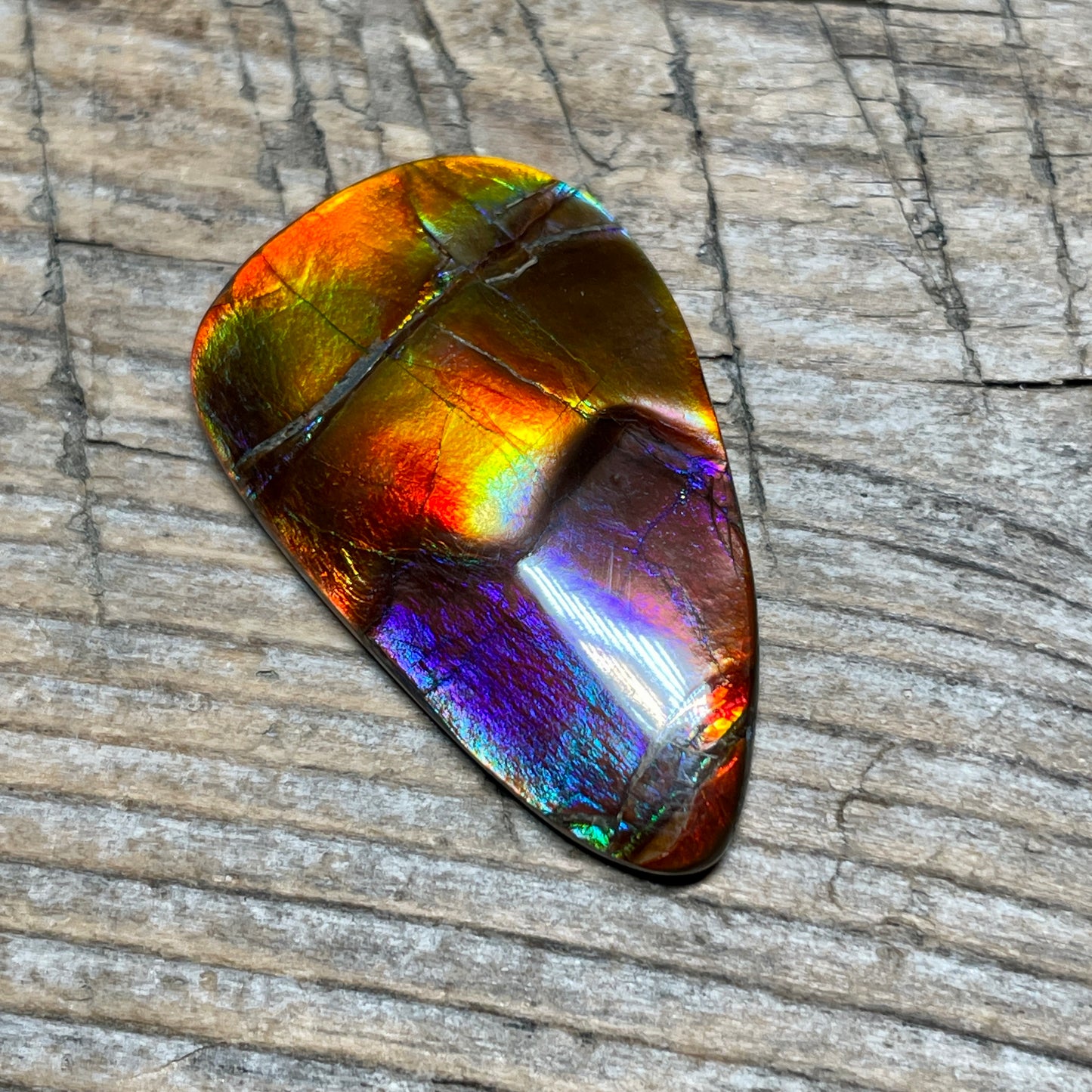 Collector's Special! Rare Pink Polished Ammolite Freeform Cabochon, Genuine Alberta Ammonite Gemstone