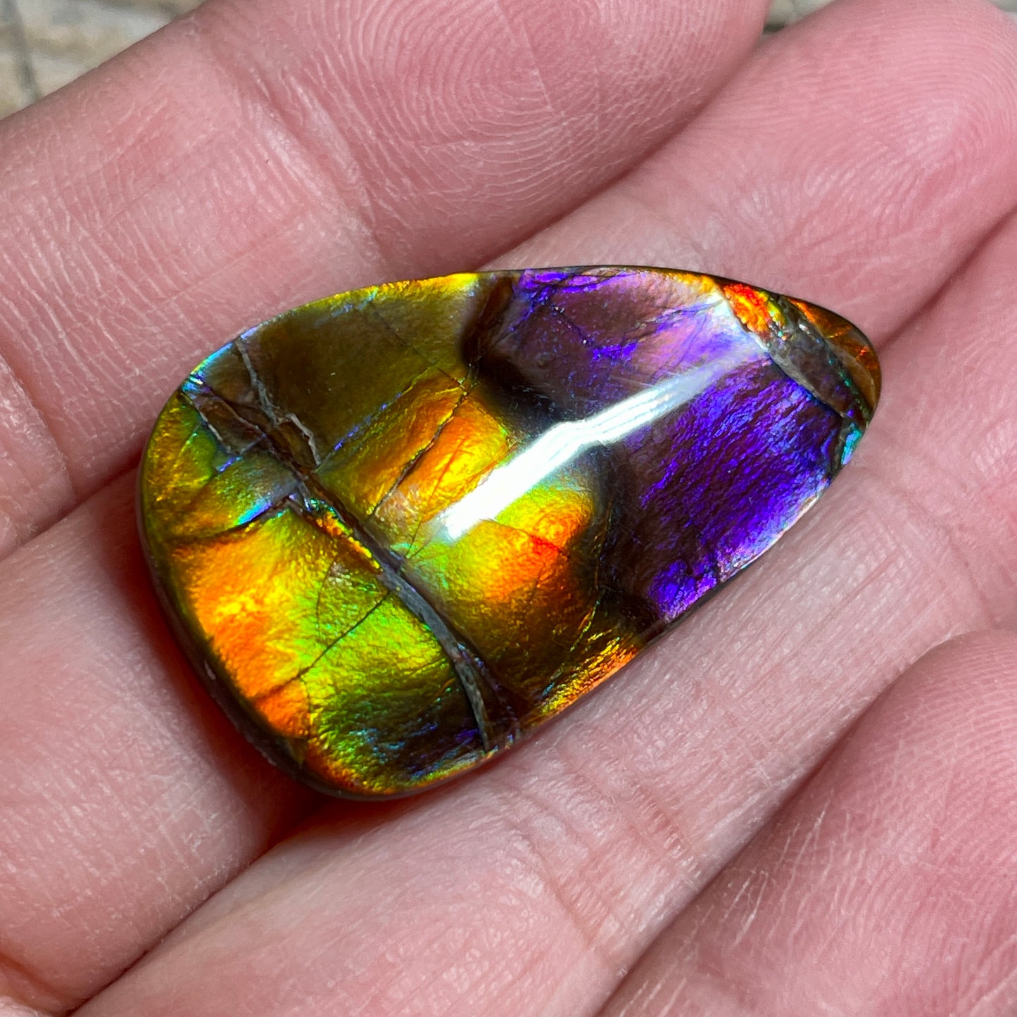 Collector's Special! Rare Pink Polished Ammolite Freeform Cabochon, Genuine Alberta Ammonite Gemstone