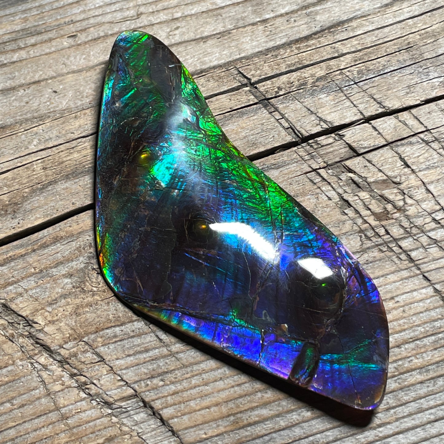 Polished Imperial Double Sided Ammolite Gem Display, Genuine Canadian Ammonite Fossil (Copy)