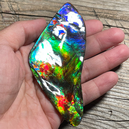 Polished Imperial Double Sided Ammolite Gem Display, Genuine Canadian Ammonite Fossil (Copy)