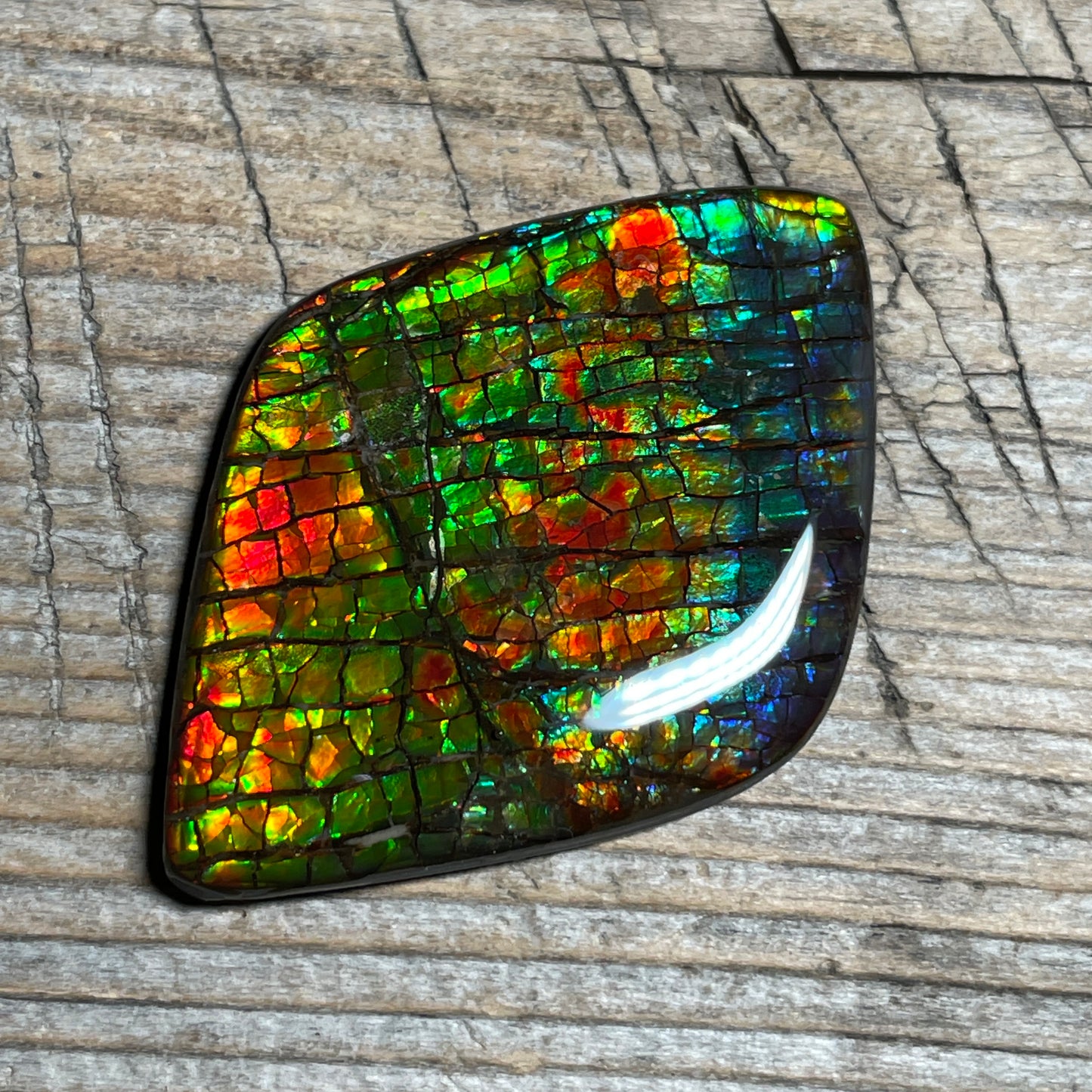 Rainbow Ammolite Gemstone, Freeform Cabochon, Dragon Skin Pattern