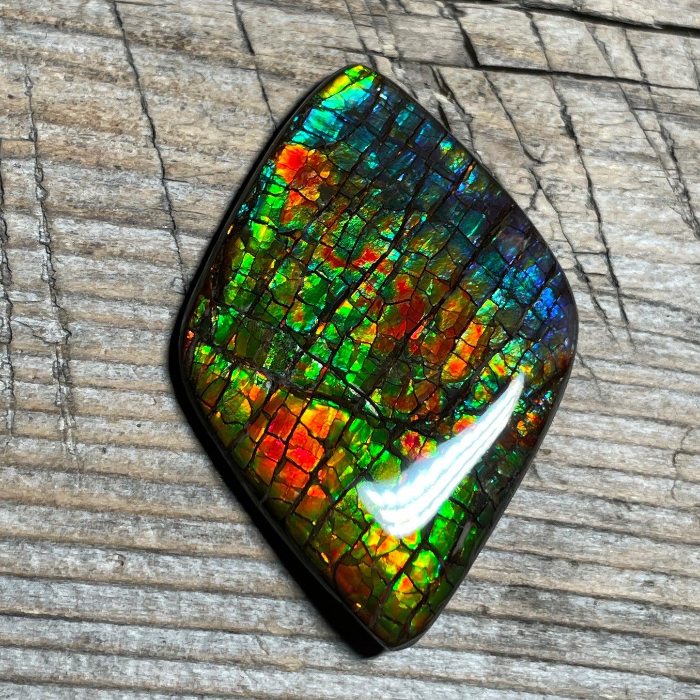 Rainbow Ammolite Gemstone, Freeform Cabochon, Dragon Skin Pattern