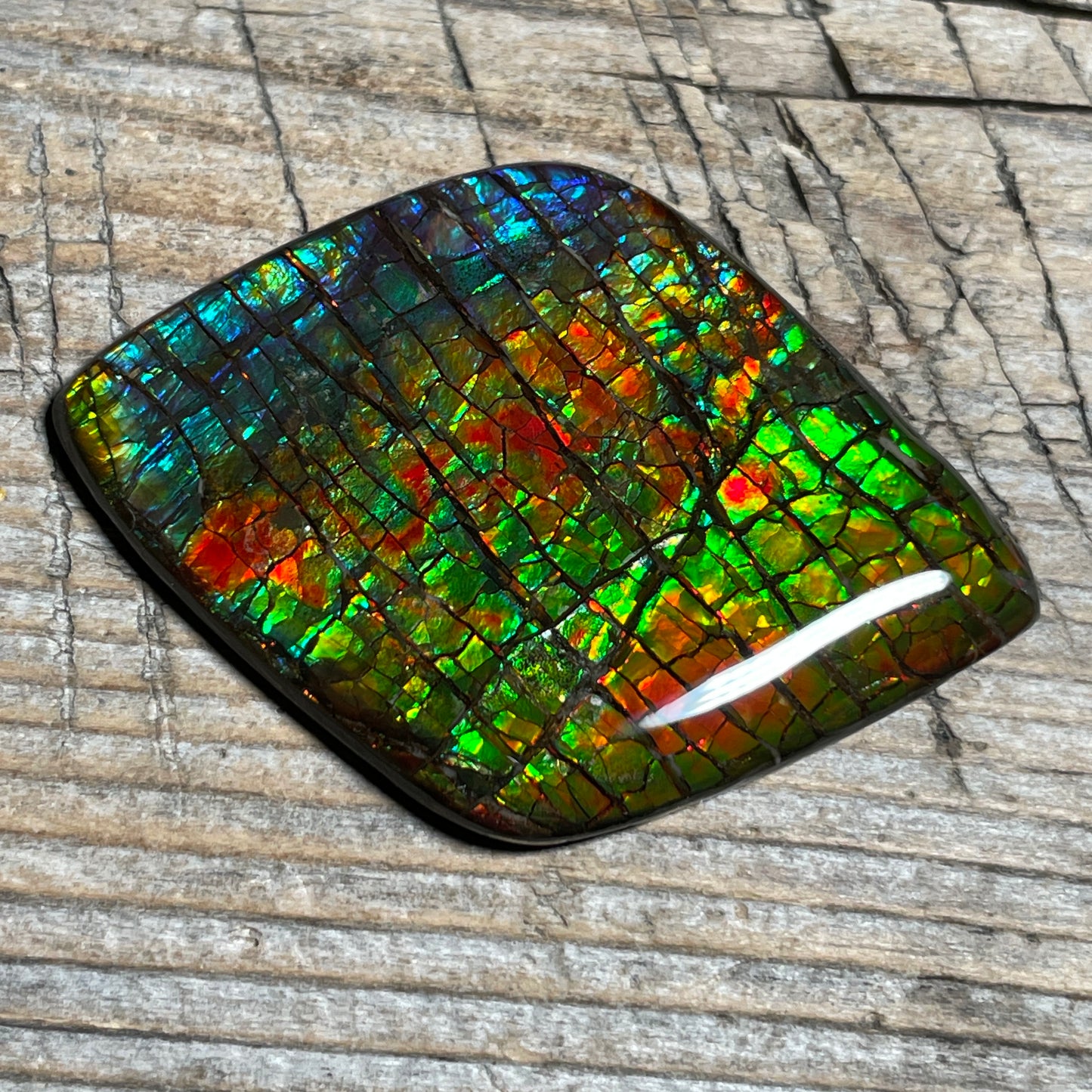 Rainbow Ammolite Gemstone, Freeform Cabochon, Dragon Skin Pattern