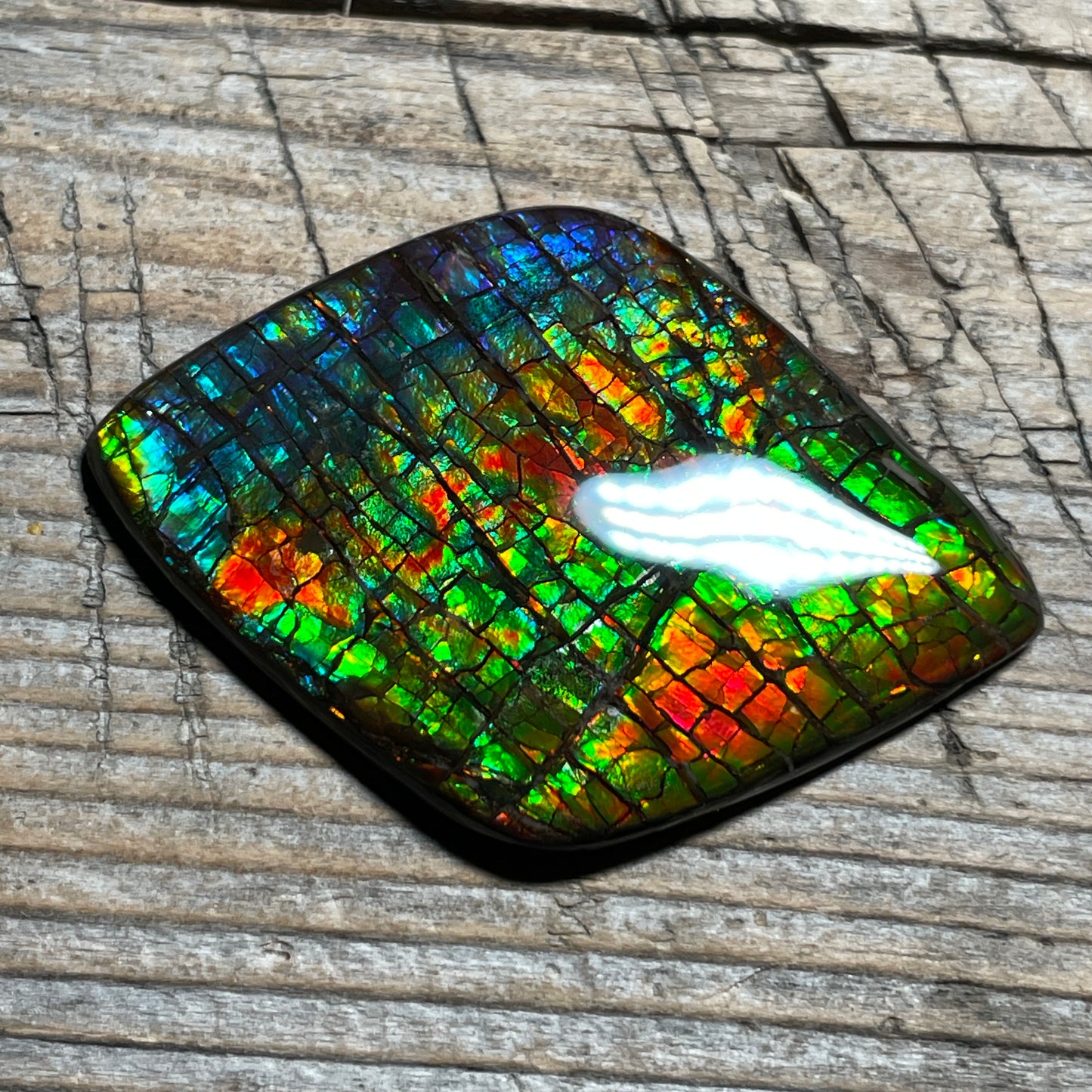 Rainbow Ammolite Gemstone, Freeform Cabochon, Dragon Skin Pattern