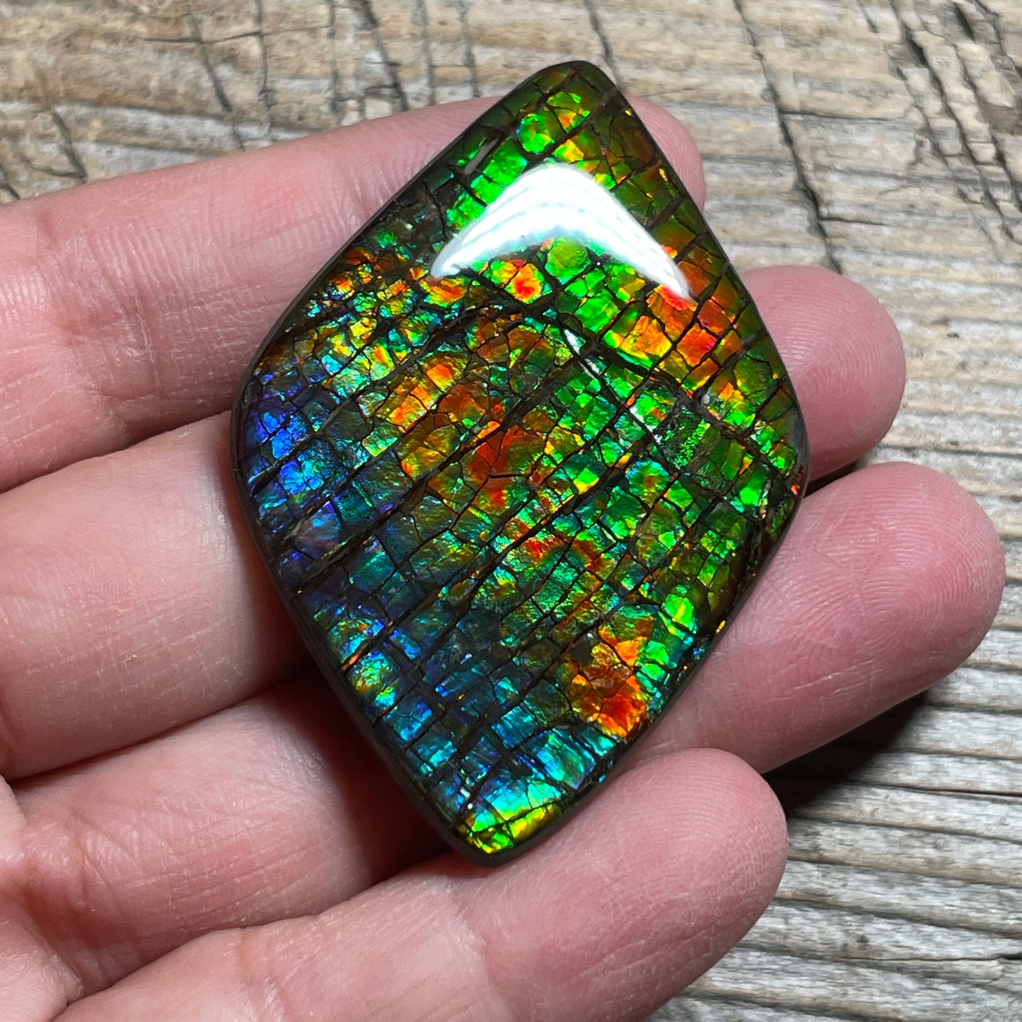 Rainbow Ammolite Gemstone, Freeform Cabochon, Dragon Skin Pattern