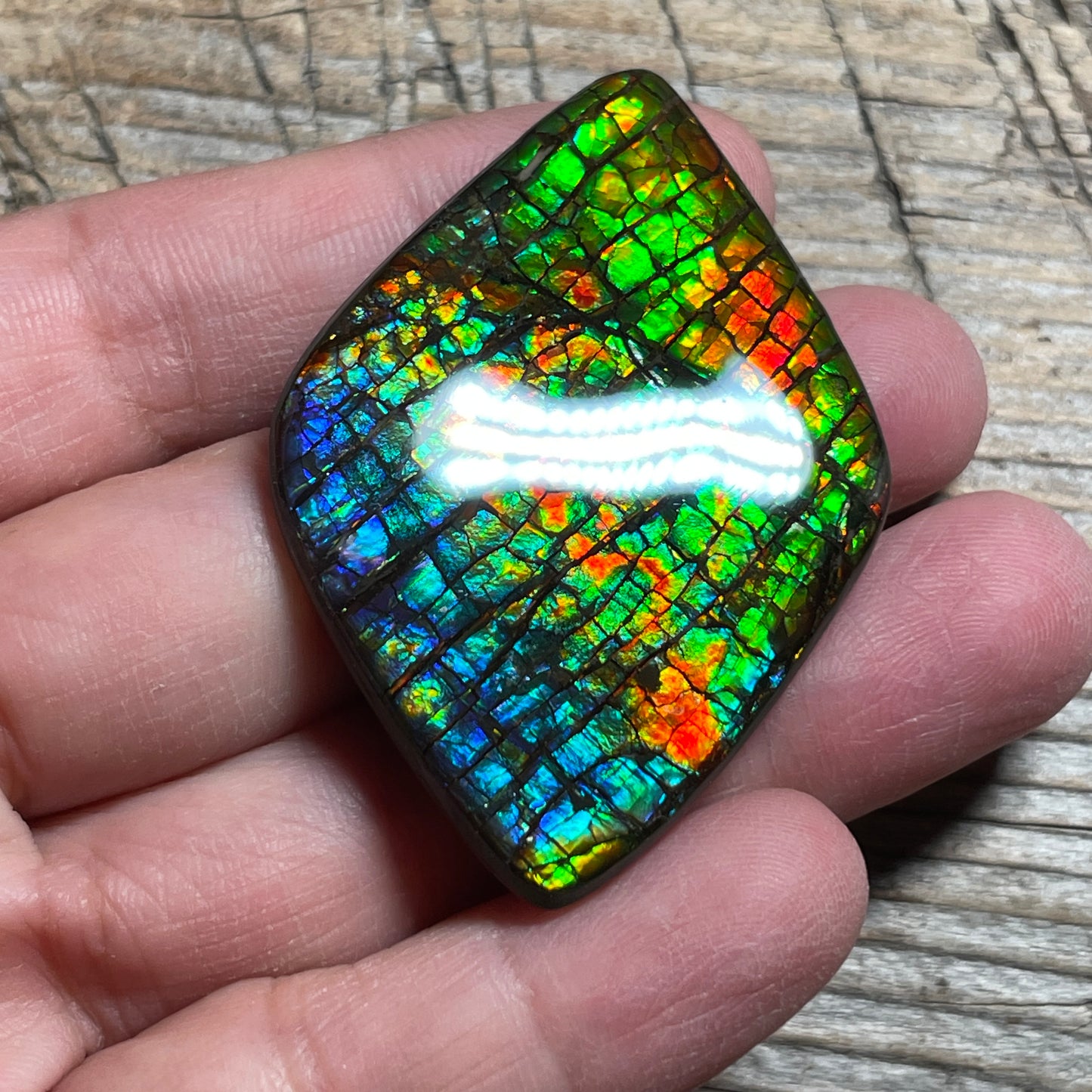 Rainbow Ammolite Gemstone, Freeform Cabochon, Dragon Skin Pattern