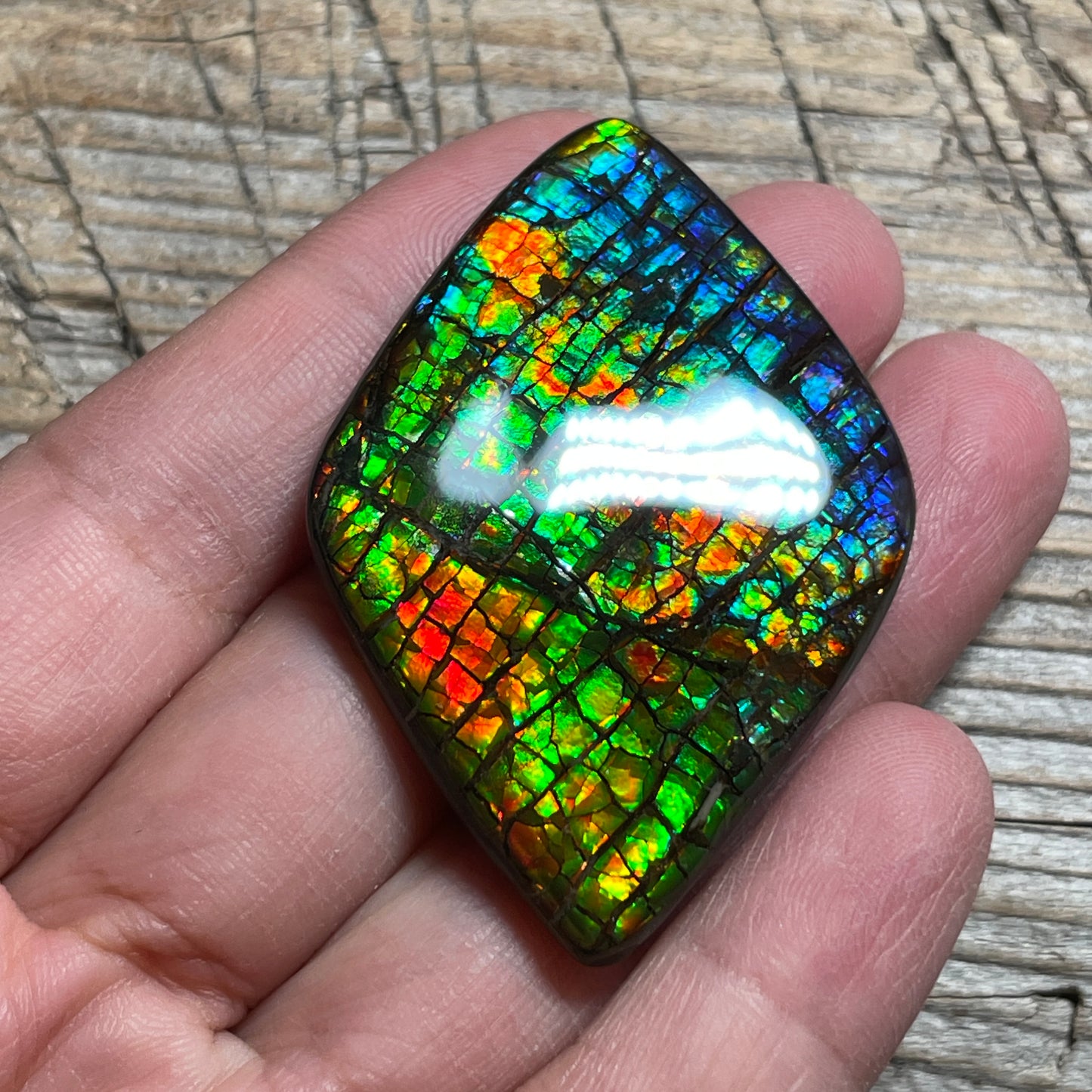 Rainbow Ammolite Gemstone, Freeform Cabochon, Dragon Skin Pattern