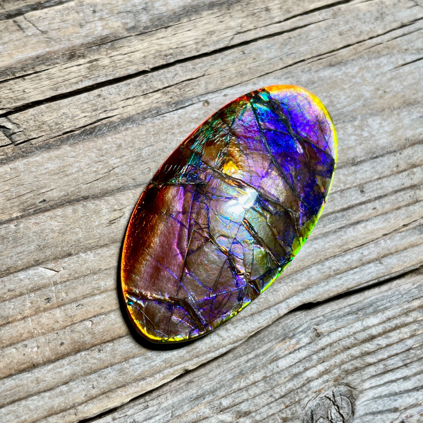 Collector's Special! Rare Pink Polished Ammolite Freeform Cabochon, Genuine Alberta Ammonite Gemstone