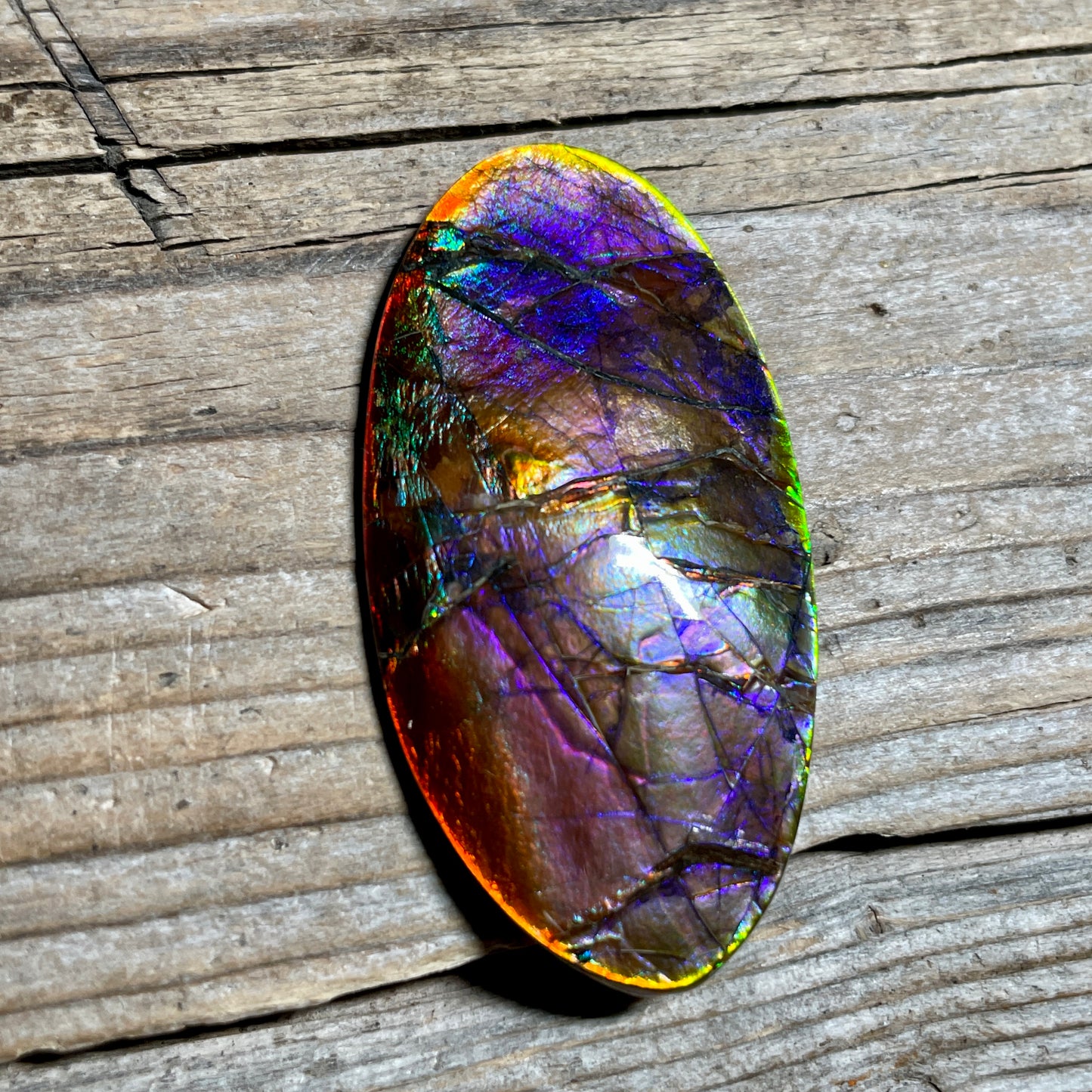 Collector's Special! Rare Pink Polished Ammolite Freeform Cabochon, Genuine Alberta Ammonite Gemstone