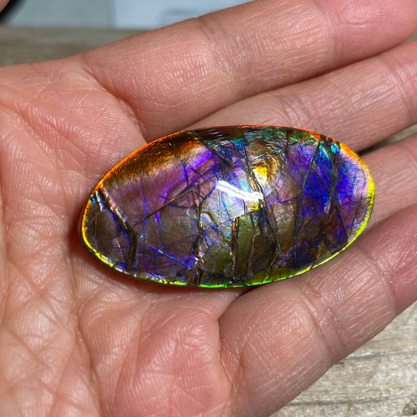 Collector's Special! Rare Pink Polished Ammolite Freeform Cabochon, Genuine Alberta Ammonite Gemstone