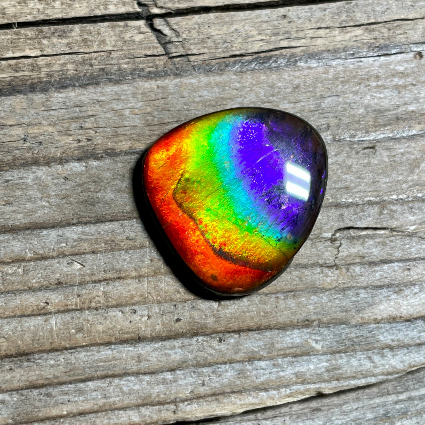 Ammolite Freeform Cabochon Coated Natural Rainbow