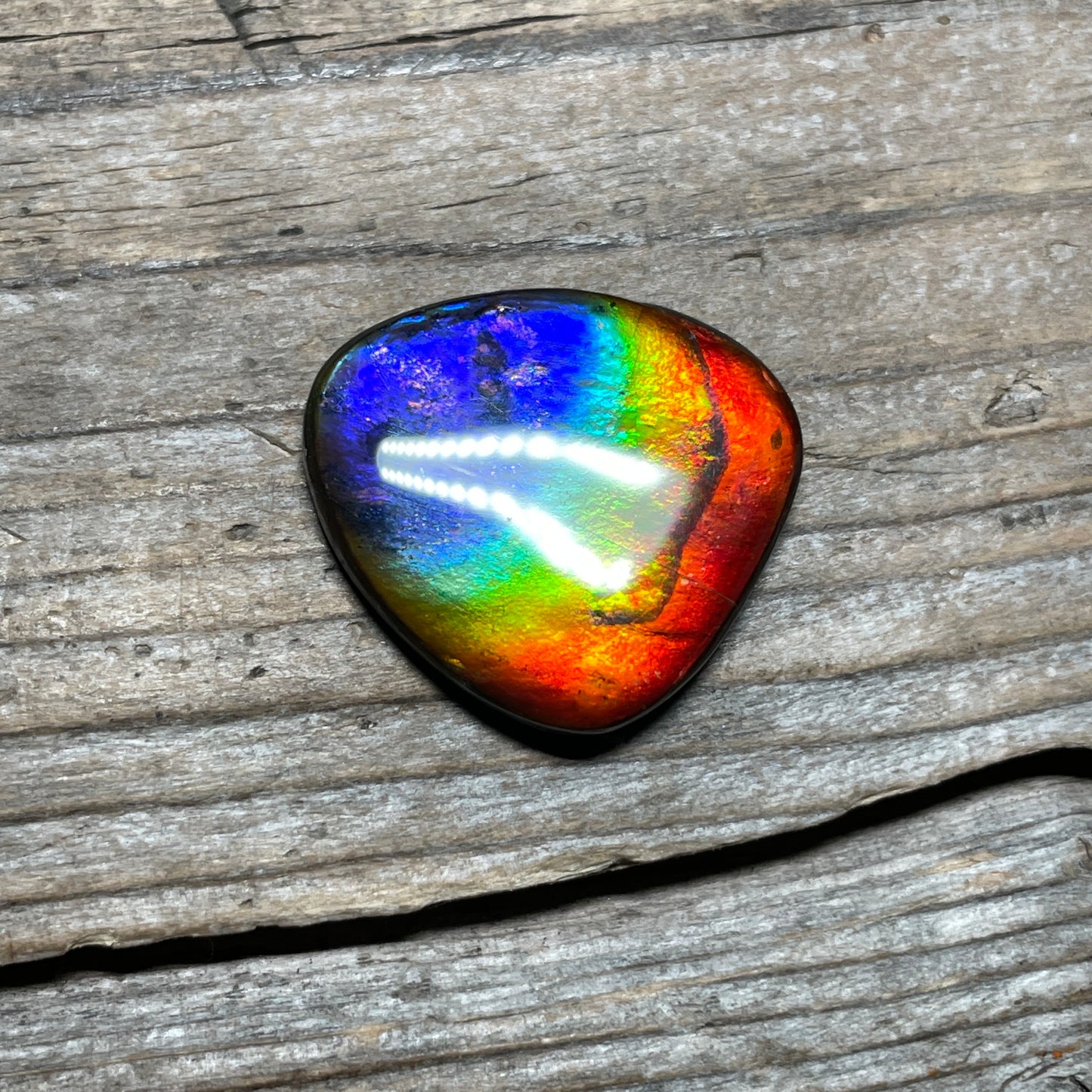 Ammolite Freeform Cabochon Coated Natural Rainbow