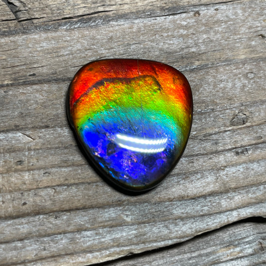 Ammolite Freeform Cabochon Coated Natural Rainbow