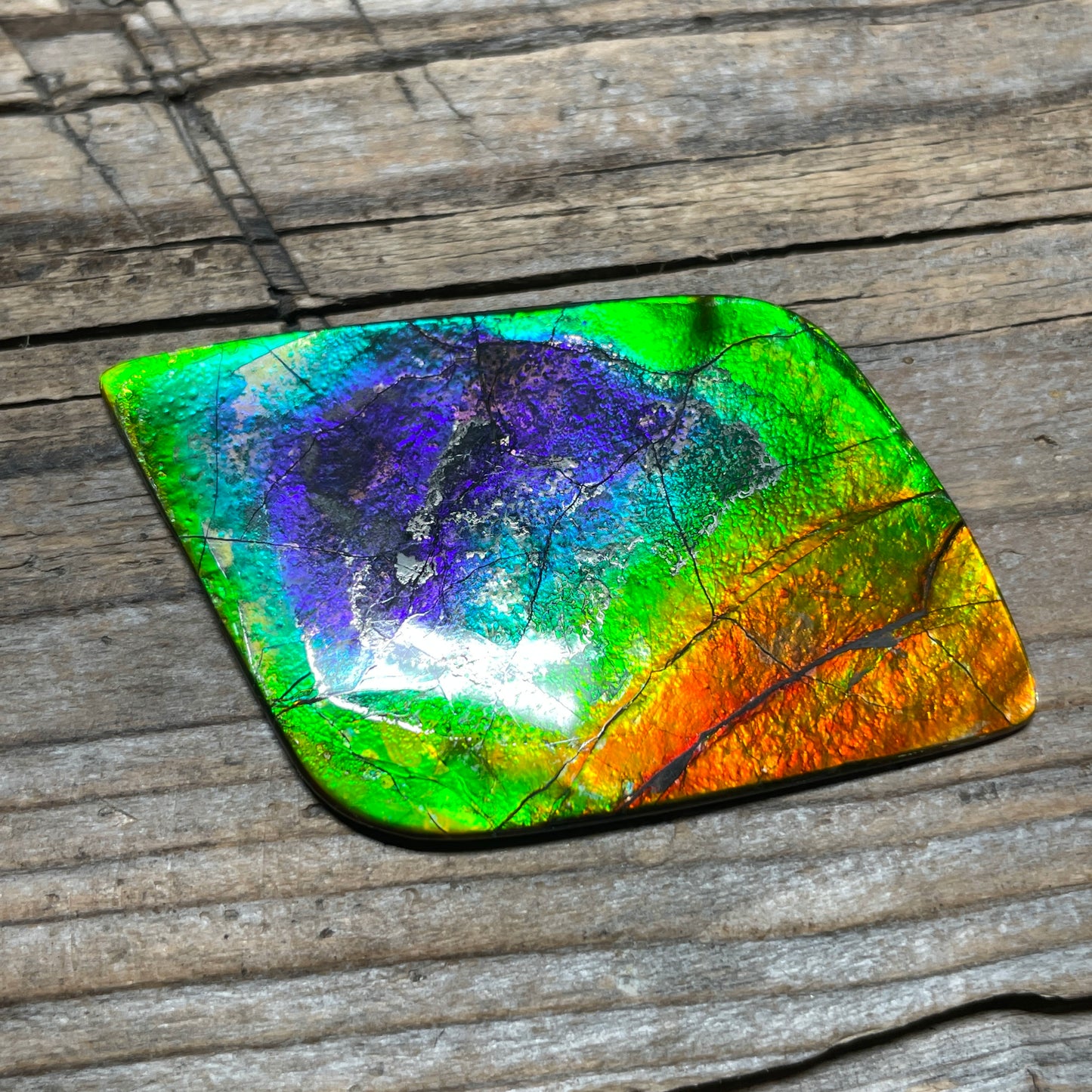 Imperial Double Sided Ammolite Gem Display, Genuine Canadian Ammonite Fossil, Rainbow Dragon Skin (Copy)