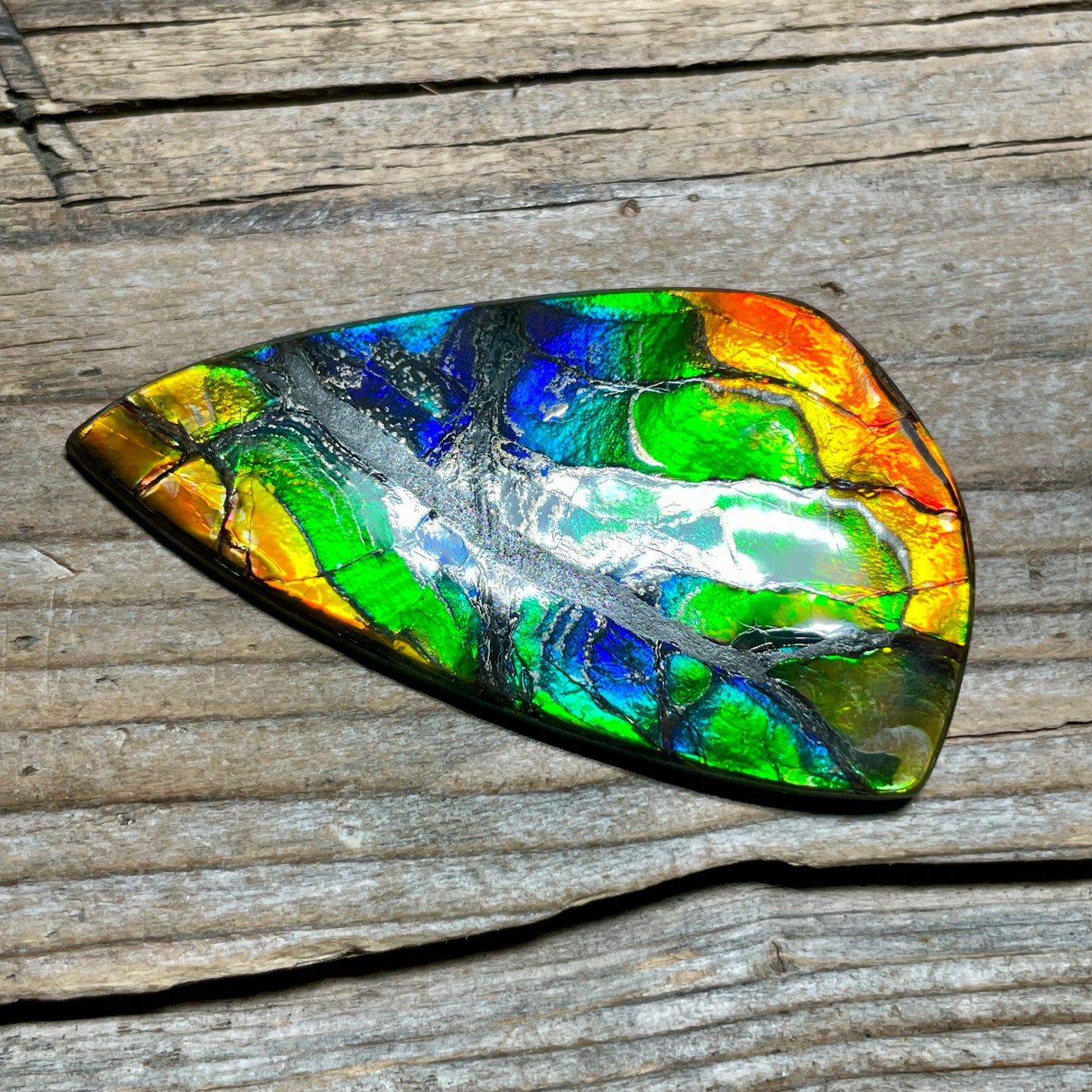 Polished Ammolite Cabochon Freeform Rainbow Colours