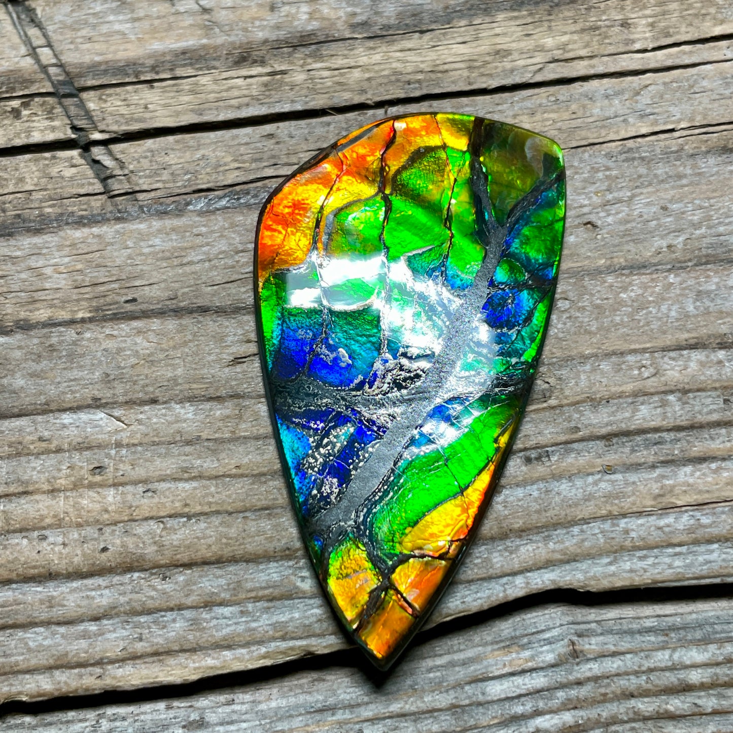 Polished Ammolite Cabochon Freeform Rainbow Colours