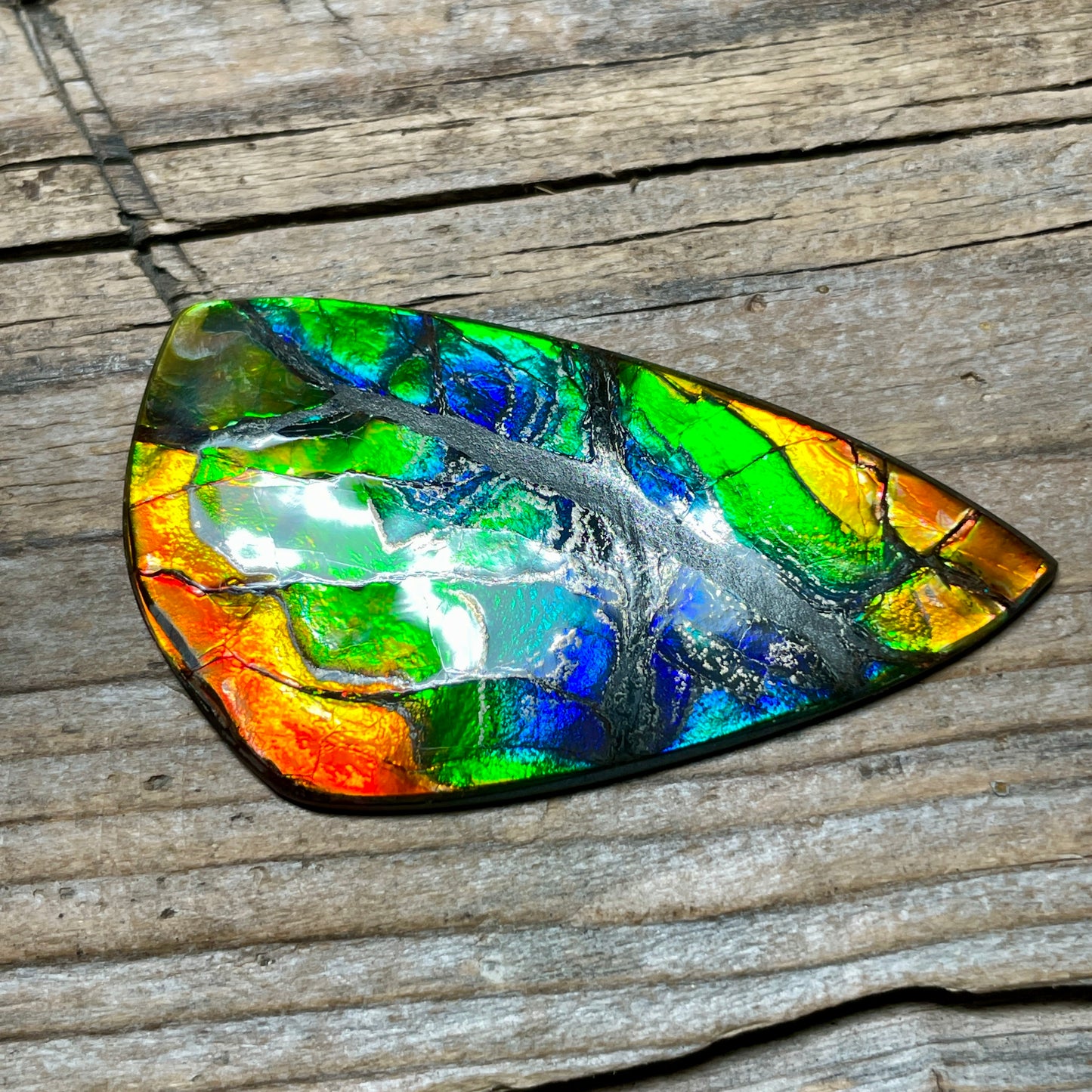 Polished Ammolite Cabochon Freeform Rainbow Colours