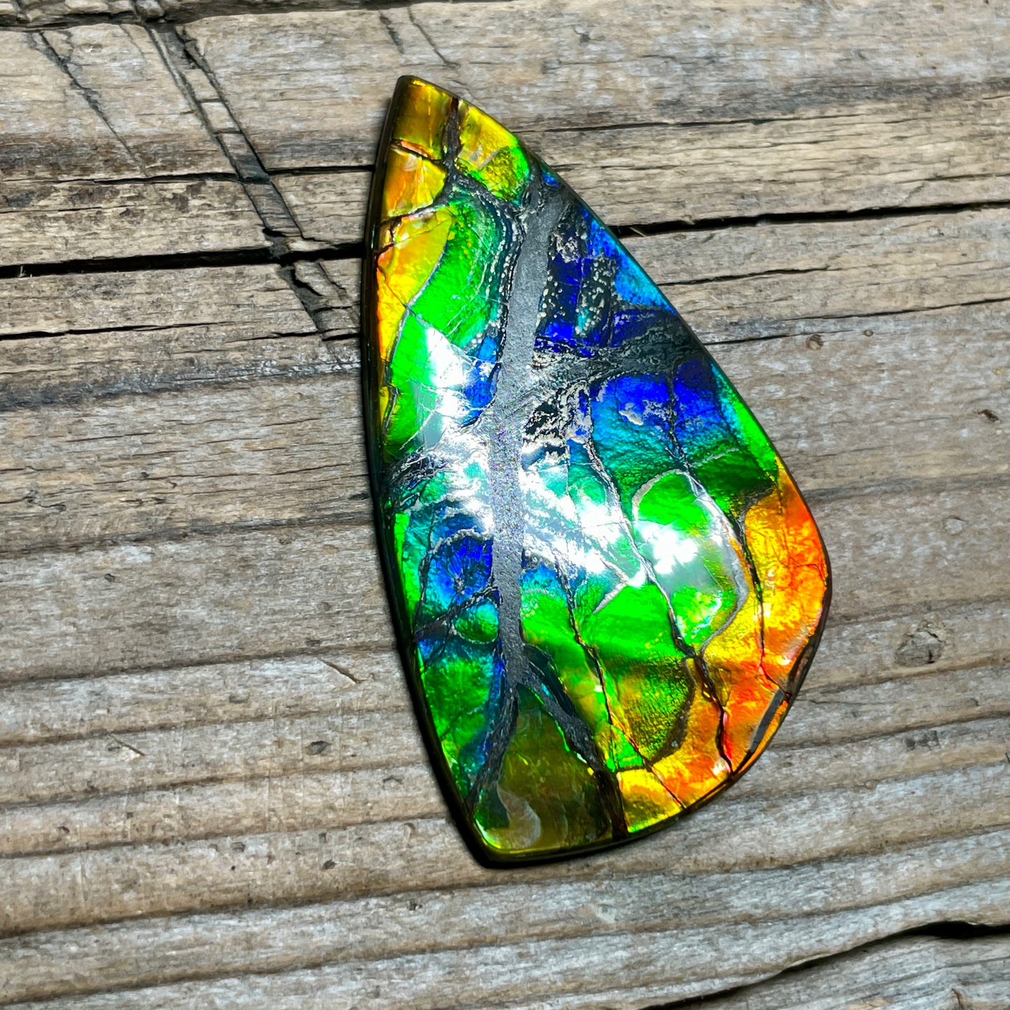 Polished Ammolite Cabochon Freeform Rainbow Colours