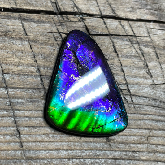 Purple Blue Green Purple Ammolite Gemstone Cabochon Freeform Canadian Ammonite FossilP (Copy)