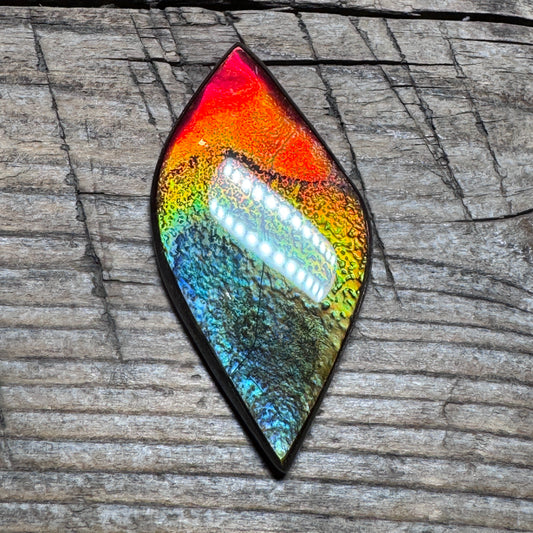 Rainbow Ammolite Freeform Cabochon Coated Natural