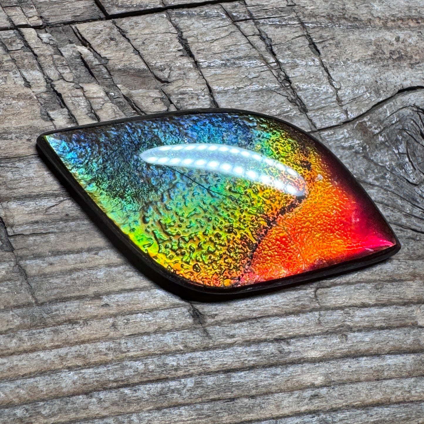 Rainbow Ammolite Freeform Cabochon Coated Natural