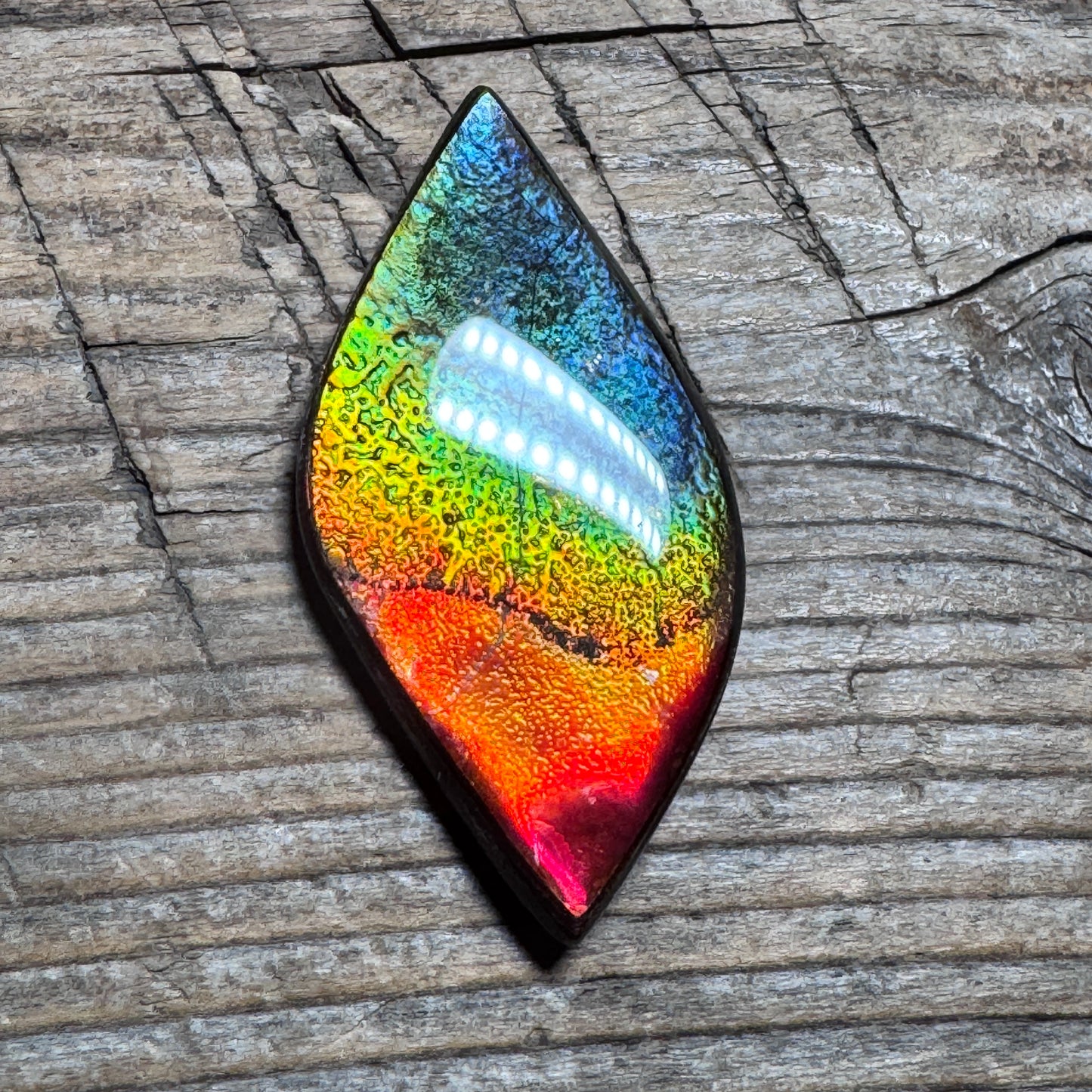 Rainbow Ammolite Freeform Cabochon Coated Natural