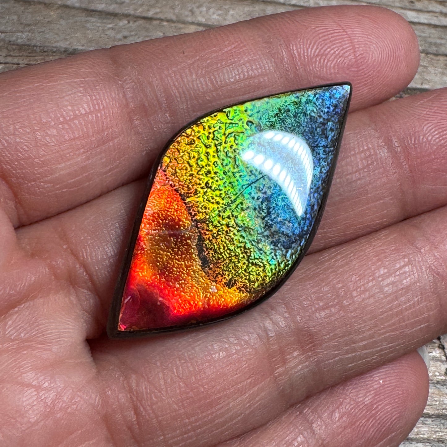 Rainbow Ammolite Freeform Cabochon Coated Natural