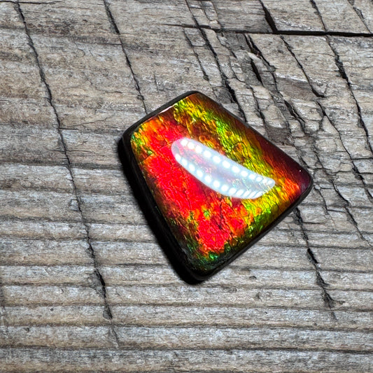 Red Green Ammolite Cabochon, Loose Gemstone, Genuine Canadian Ammonite