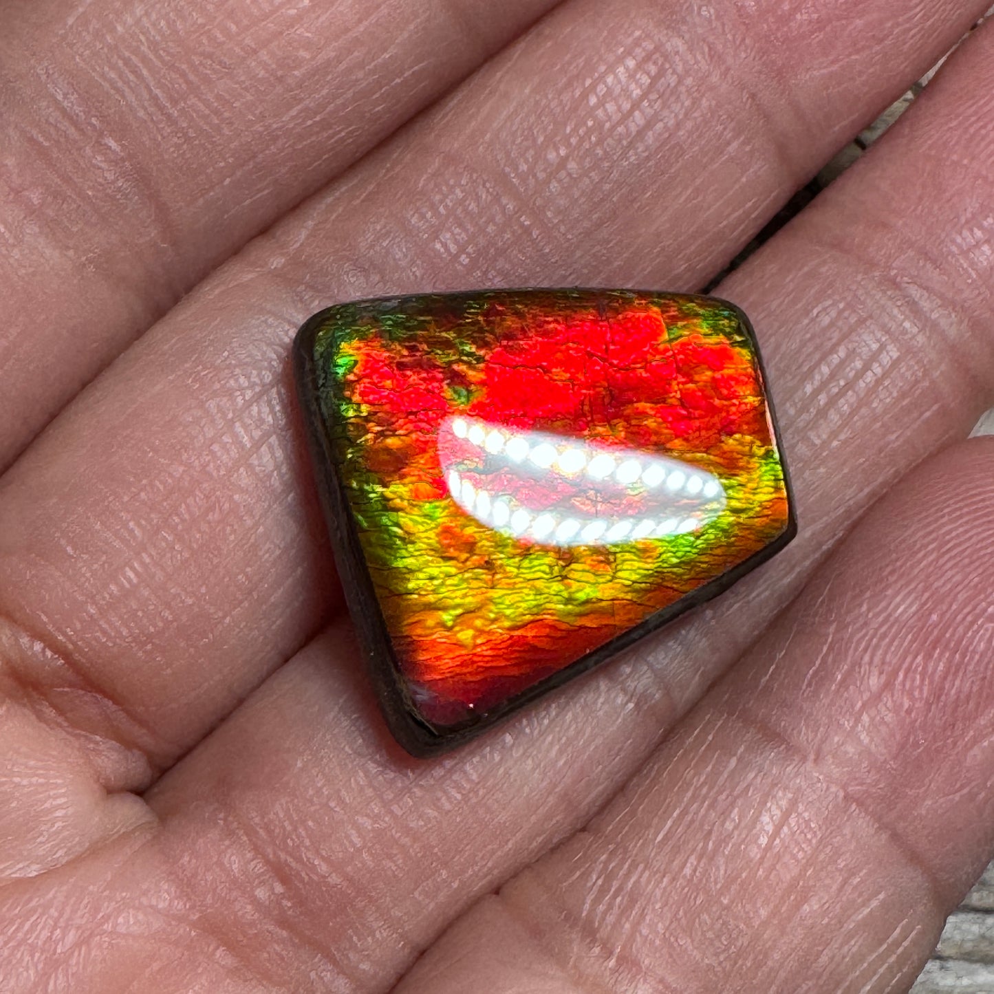 Red Green Ammolite Cabochon, Loose Gemstone, Genuine Canadian Ammonite